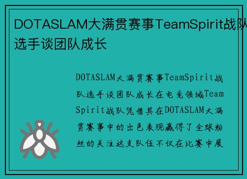 DOTASLAM大满贯赛事TeamSpirit战队选手谈团队成长