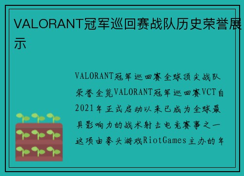 VALORANT冠军巡回赛战队历史荣誉展示